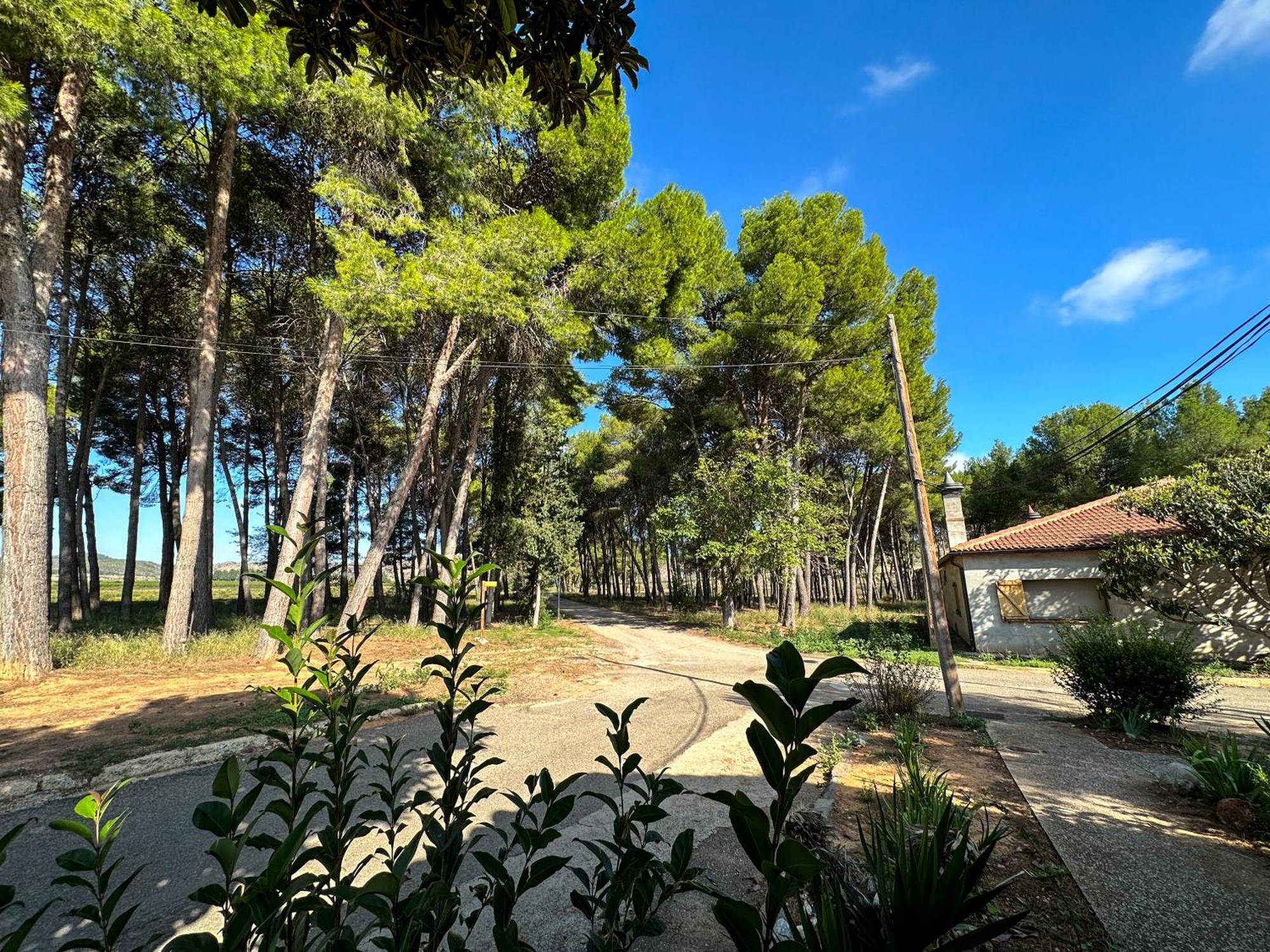 Casa Rural Los Pinos Valmuel Buitenkant foto