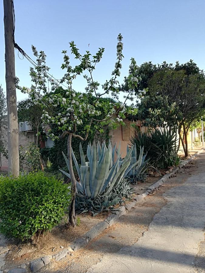 Casa Rural Los Pinos Valmuel Buitenkant foto